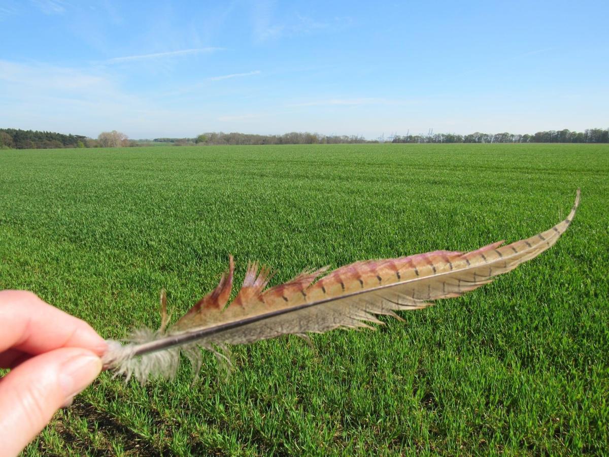 Our Countryside by Swantje Holland Our Countryside by Swantje Holland