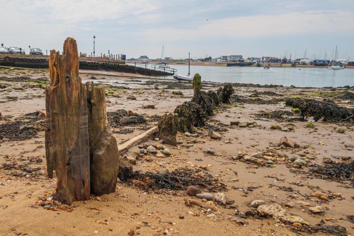 Across to Bawdsey Pictures by Tim Garrett-Moore