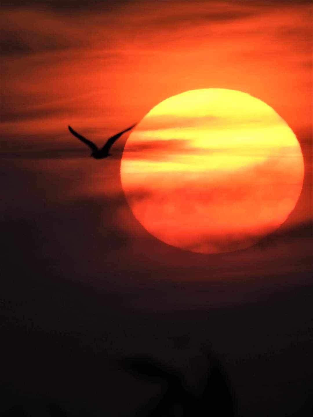 Andrew Jacklin, an Underwoods Employee Finds His Photographic Calling Andrew Jacklin, an Underwoods Employee Finds His Photographic Calling