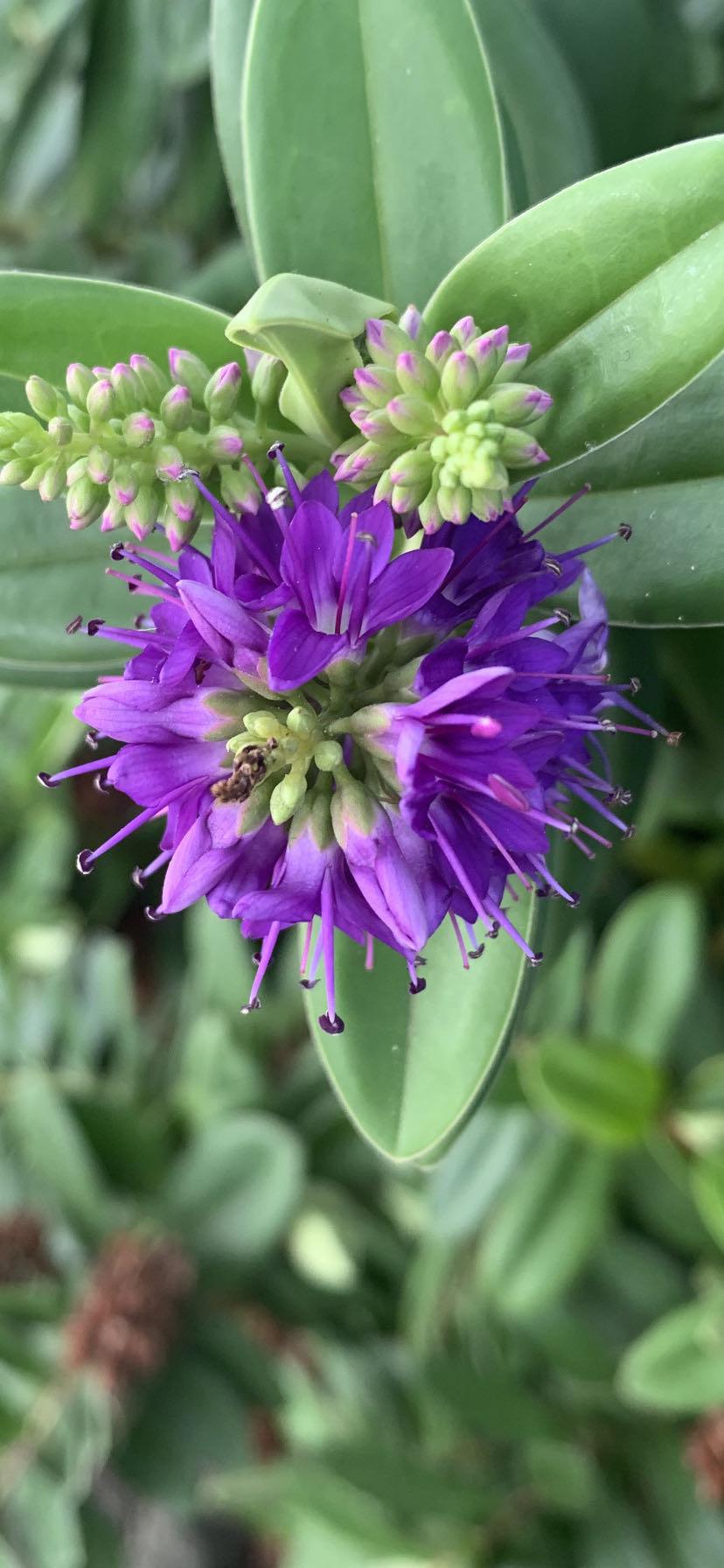 Photo Sent in by You 😍 Photo Sent in by You 😍