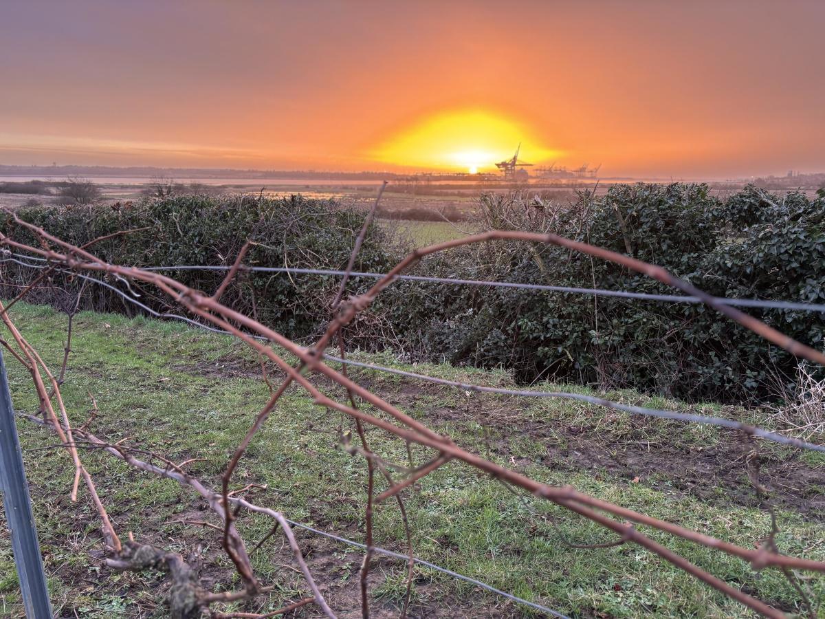 Felixstowe Photographers Felixstowe Photographers