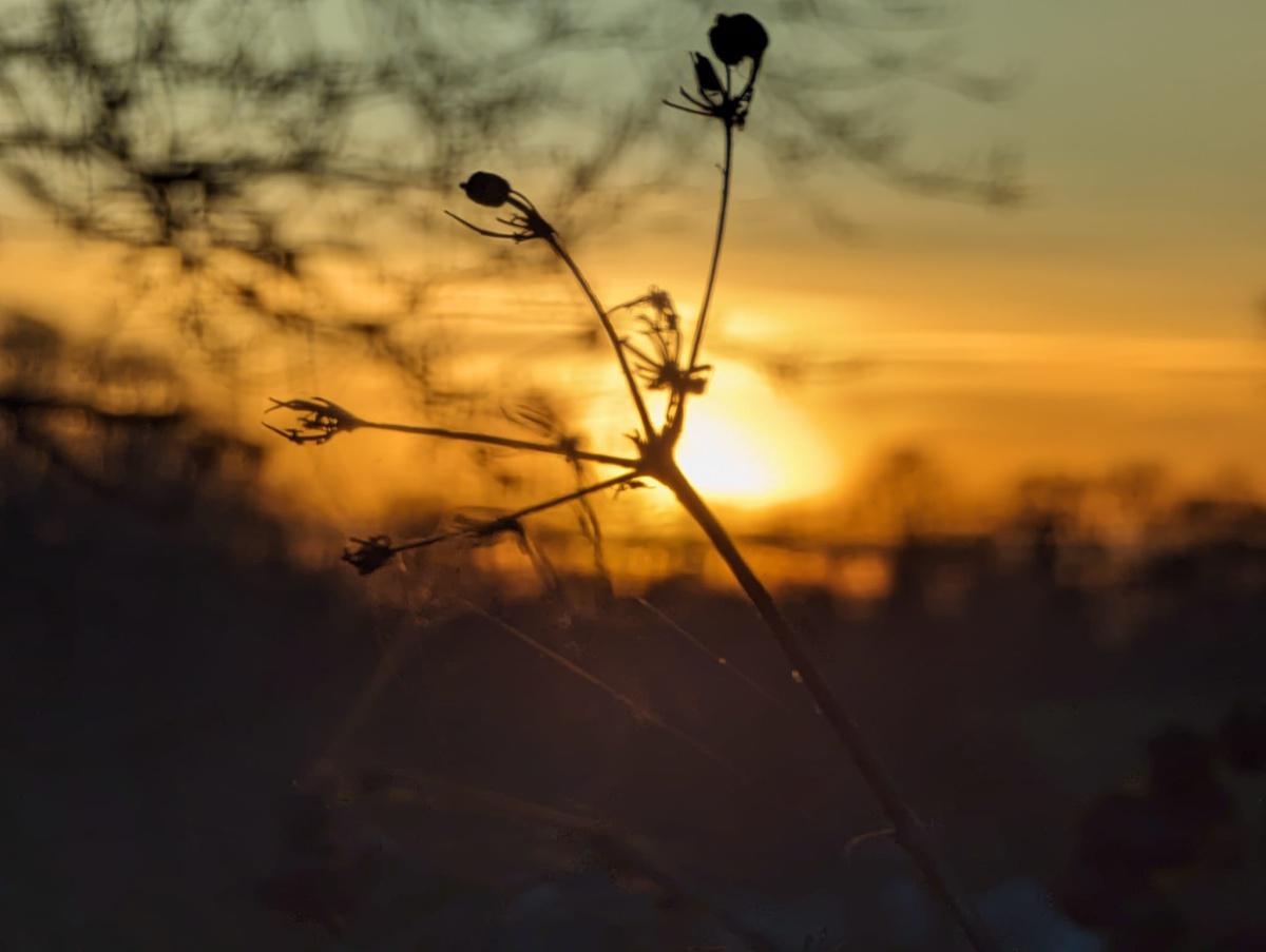 Felixstowe Photographers Felixstowe Photographers