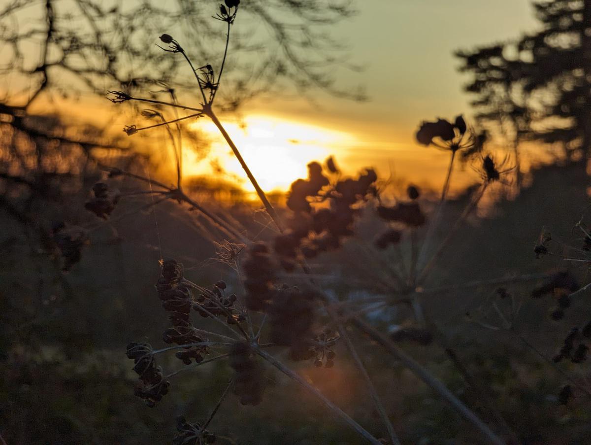 Felixstowe Photographers Felixstowe Photographers