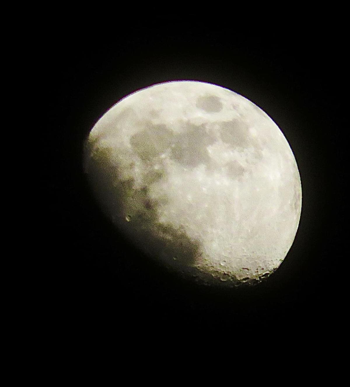 Local Photography by Local People  Local Photography by Local People