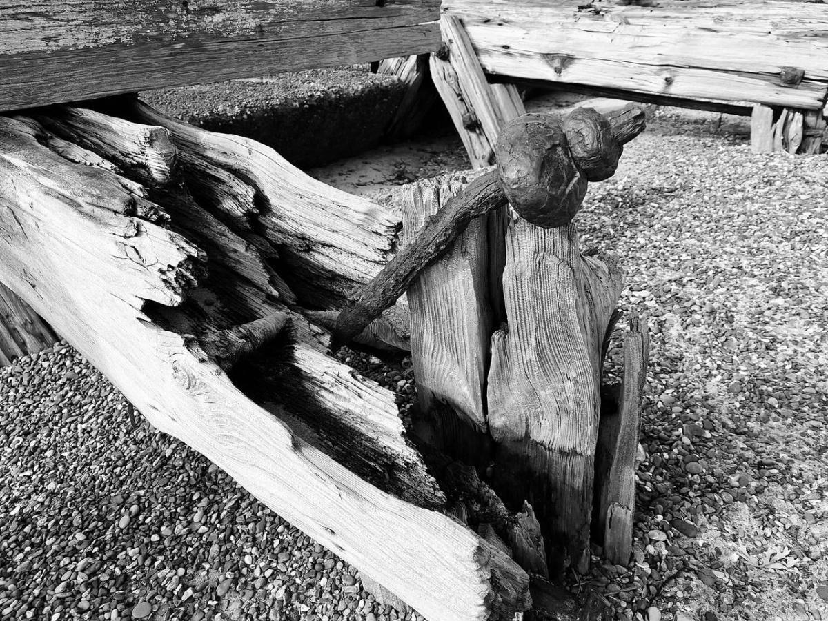 Local Photography by Local People  Local Photography by Local People