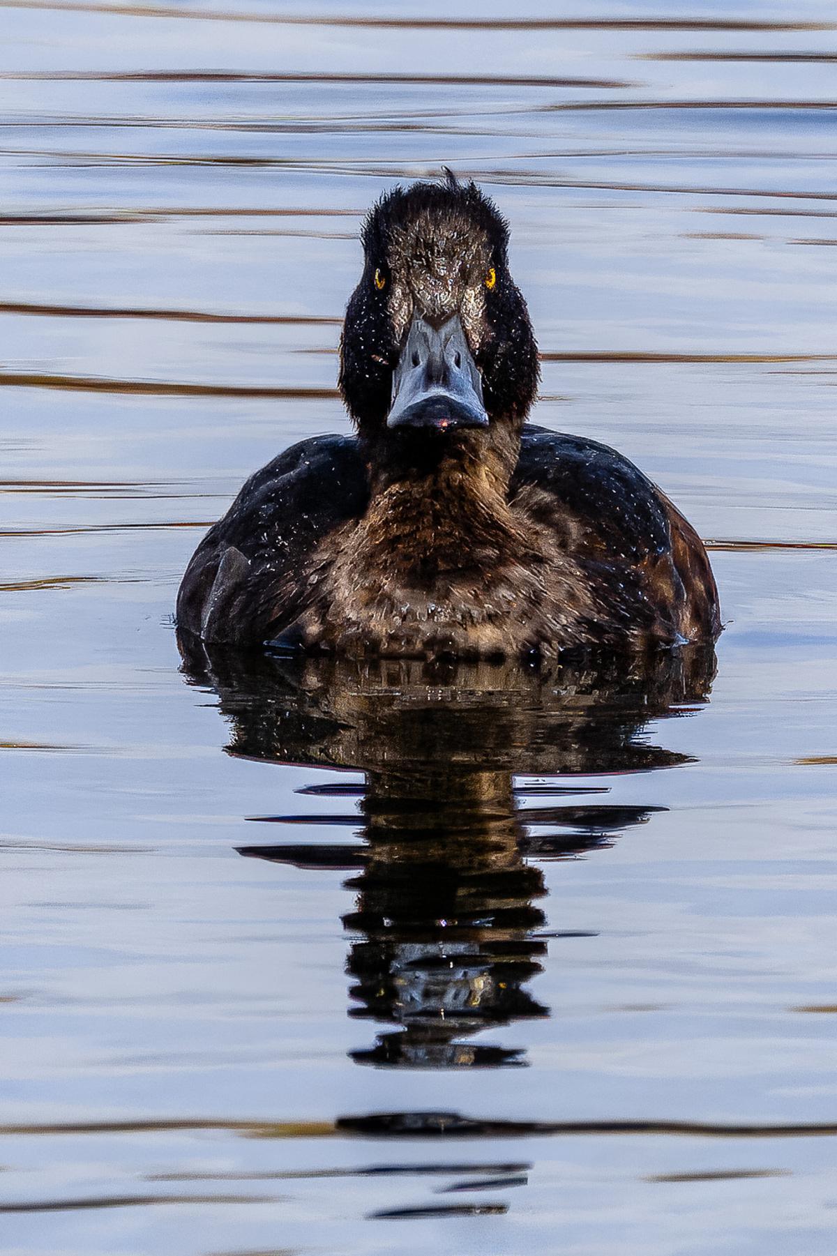 Local Photography by Local People  Local Photography by Local People