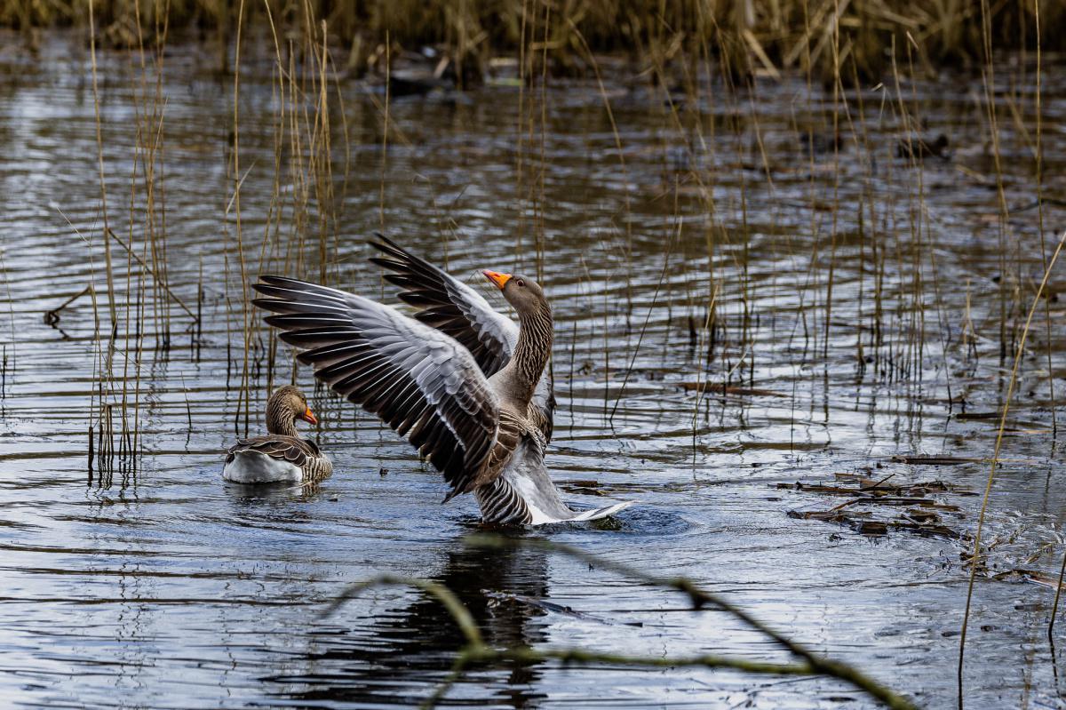 Local Photography by Local People  Local Photography by Local People