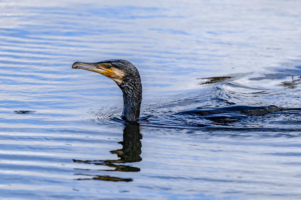 Local Photography by Local People  Local Photography by Local People