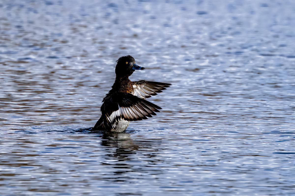 Local Photography by Local People  Local Photography by Local People