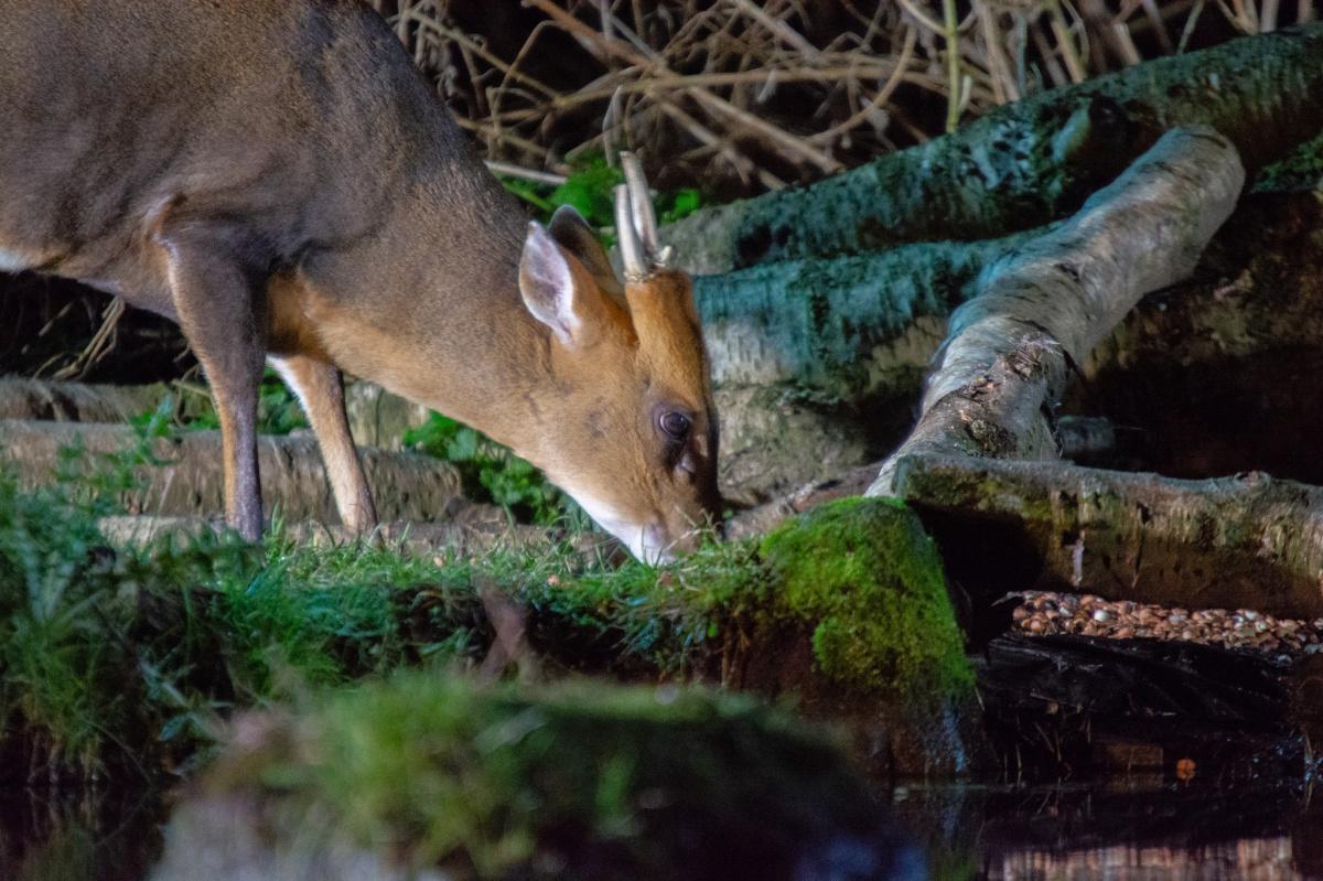 Local Photography by Local People  Local Photography by Local People