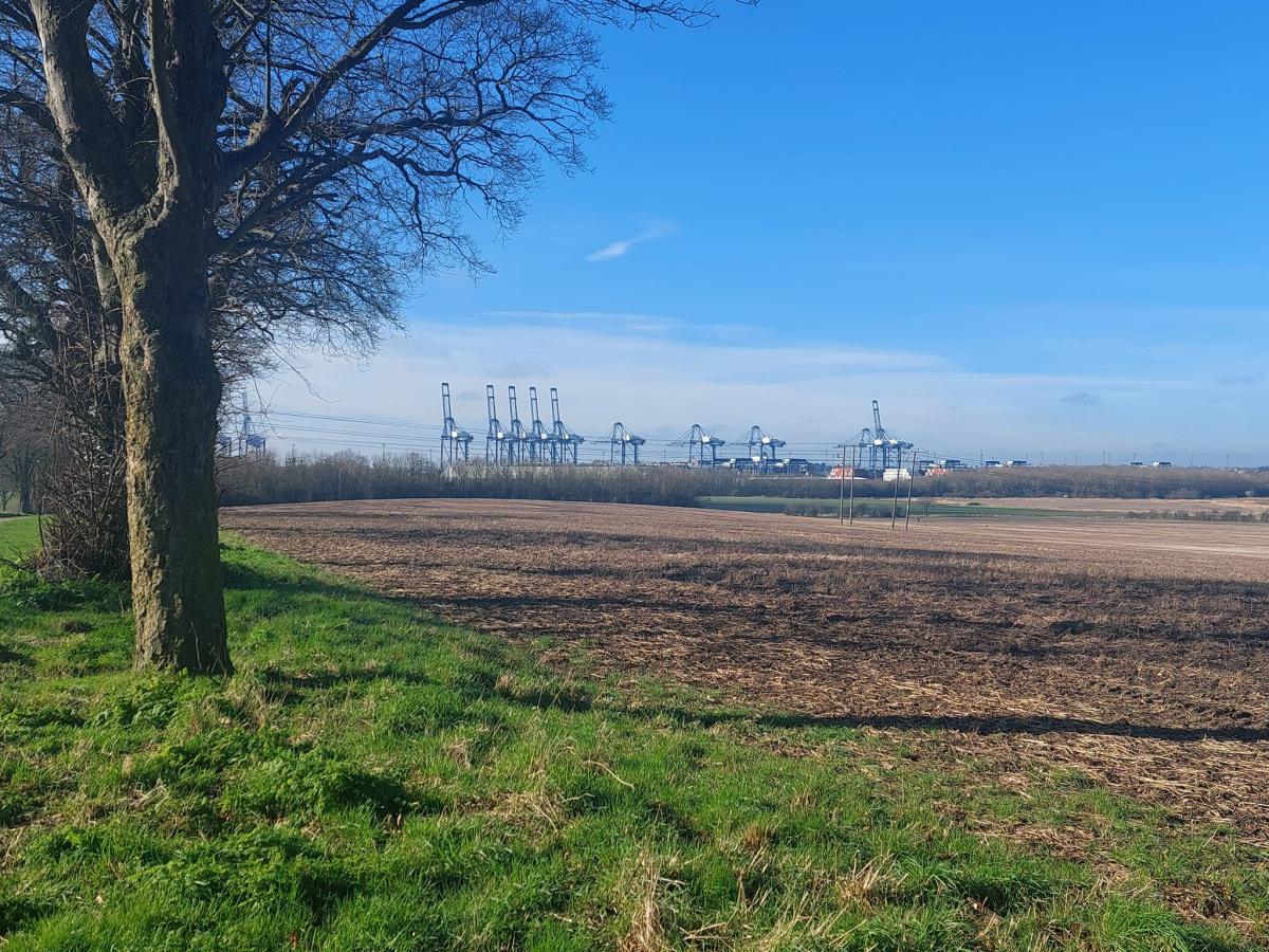 Local Photography by Local People  Local Photography by Local People