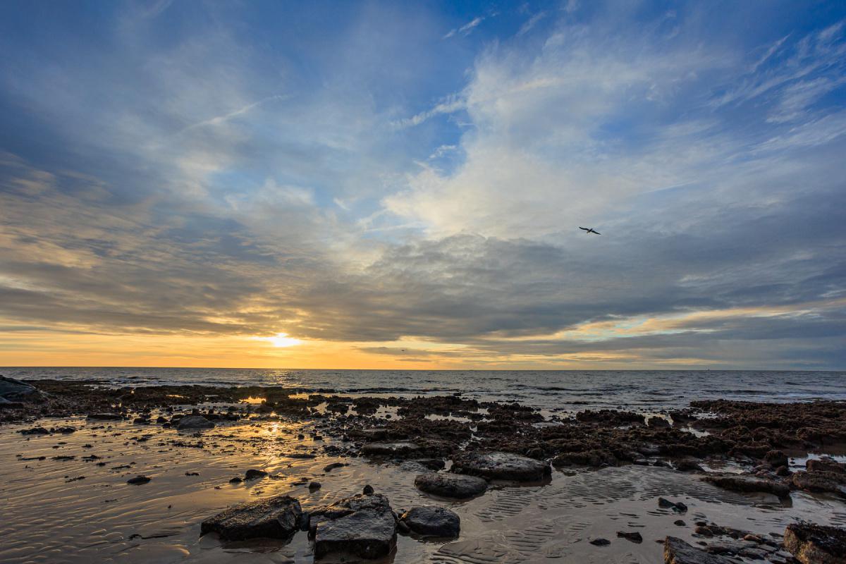 Local Photography by Local People  Local Photography by Local People