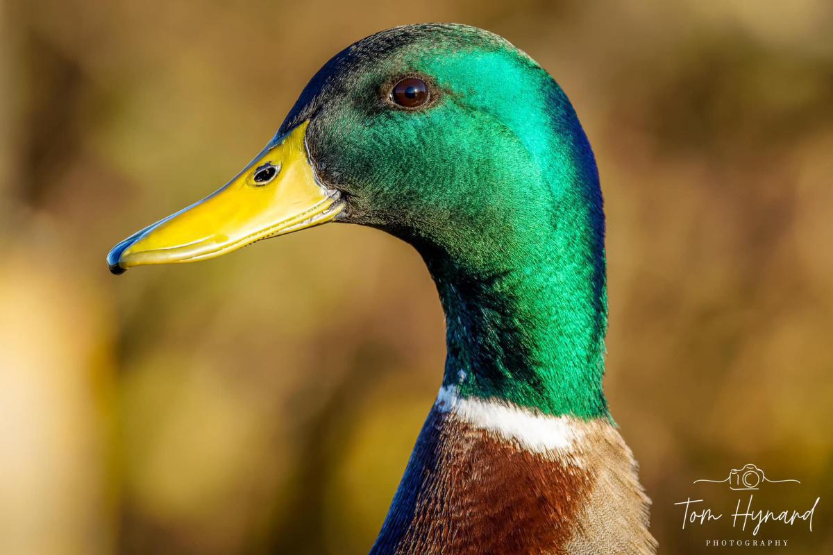 Local Photography by Local People  Local Photography by Local People