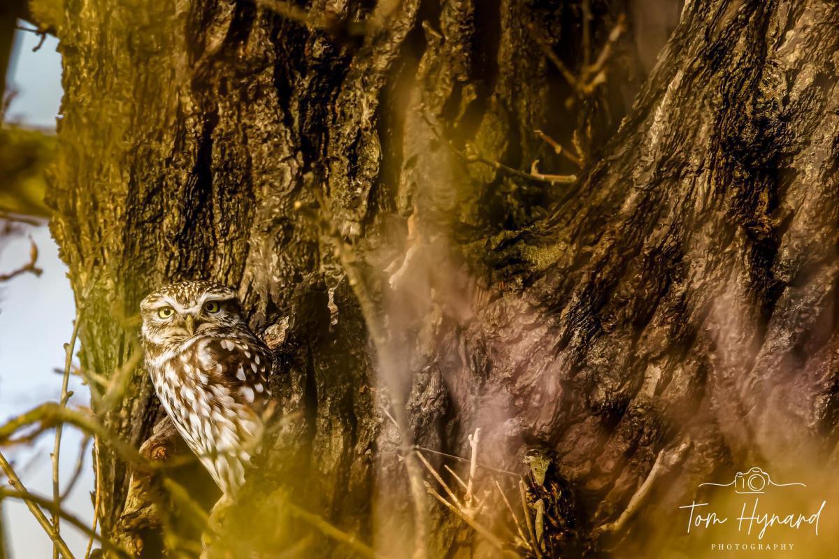 Local Photography by Local People  Local Photography by Local People