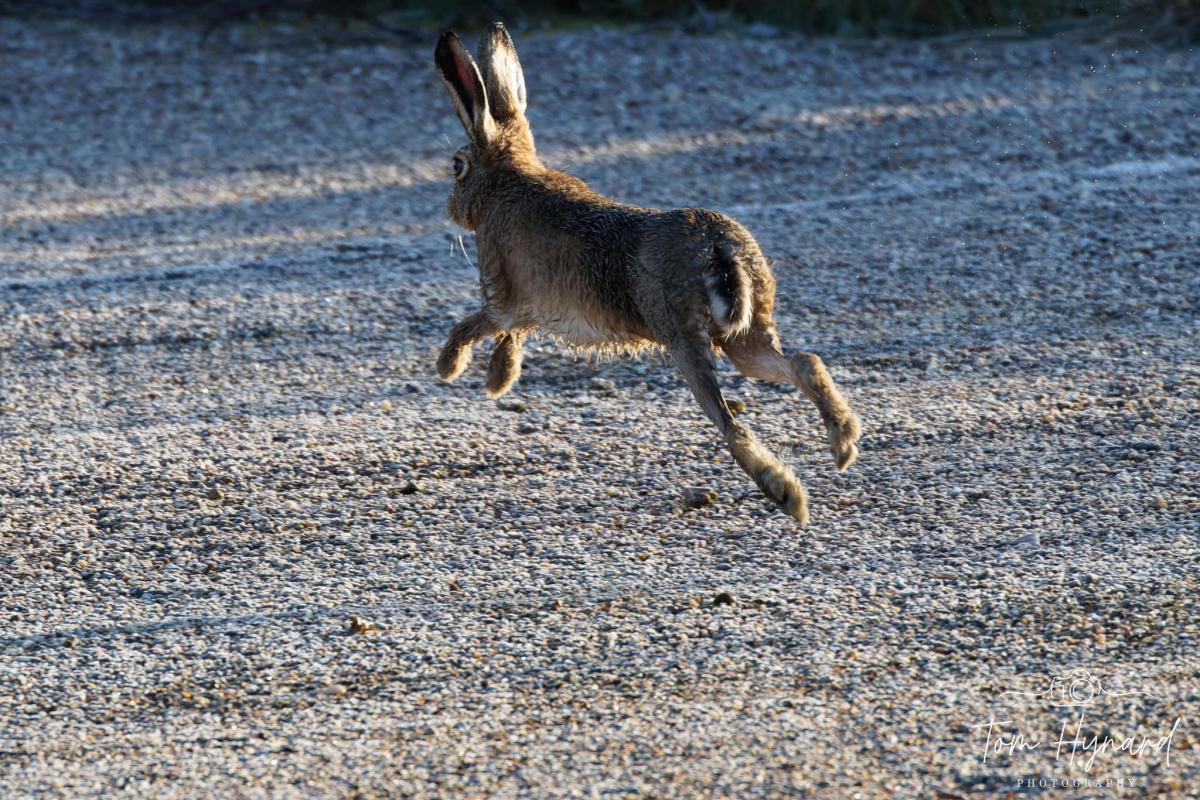 Local Photography by Local People  Local Photography by Local People