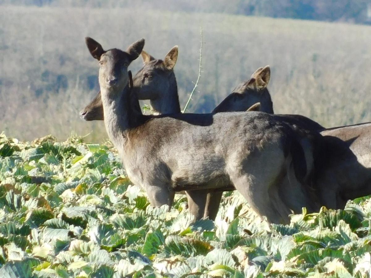 Local Photography by Local People  Local Photography by Local People