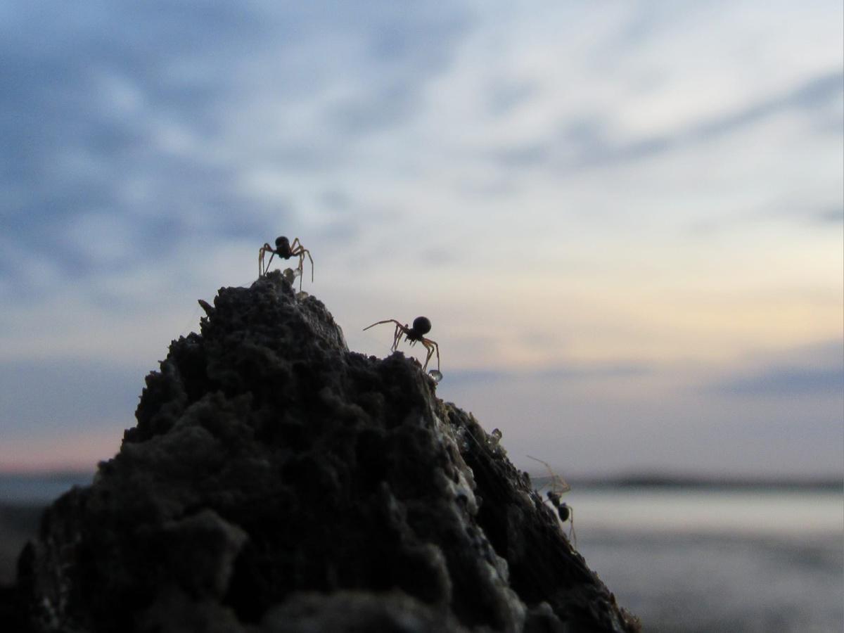 Local Photography by Local People  Local Photography by Local People