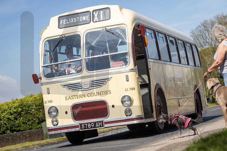 52nd Ipswich – Felixstowe Historic Vehicle Run: A Journey Through Time, by Gavin King