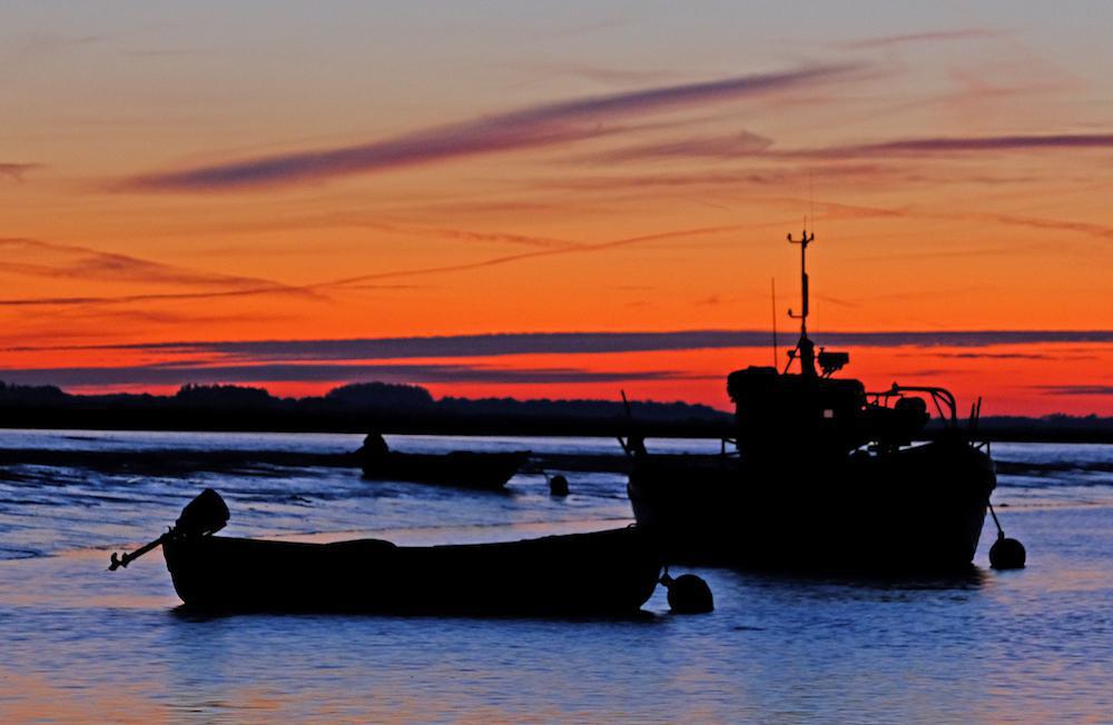 Remembering Aurora: A Story and Photos by Stephen Squirrell  Remembering Aurora: A Story and Photos by Stephen Squirrell