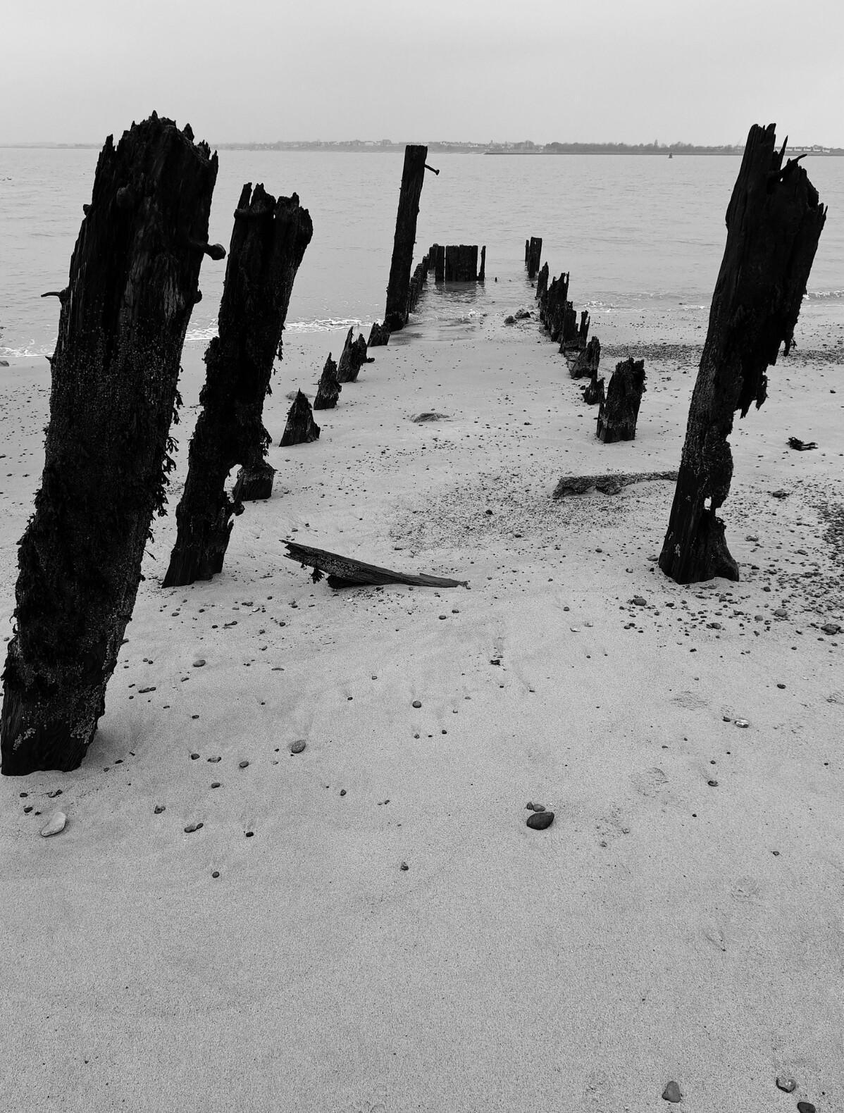 Local Photography: A Fresh View of Felixstowe!
