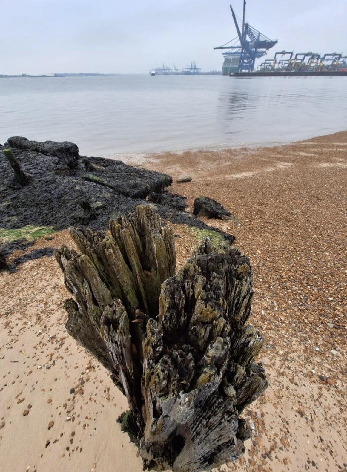 Local Photography: A Fresh View of Felixstowe!
