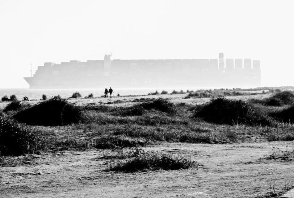 Local Photography