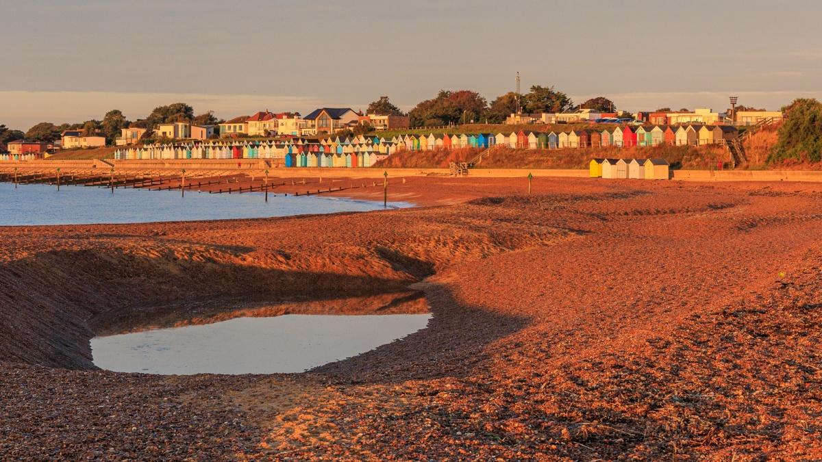 Local Photography Local Photography