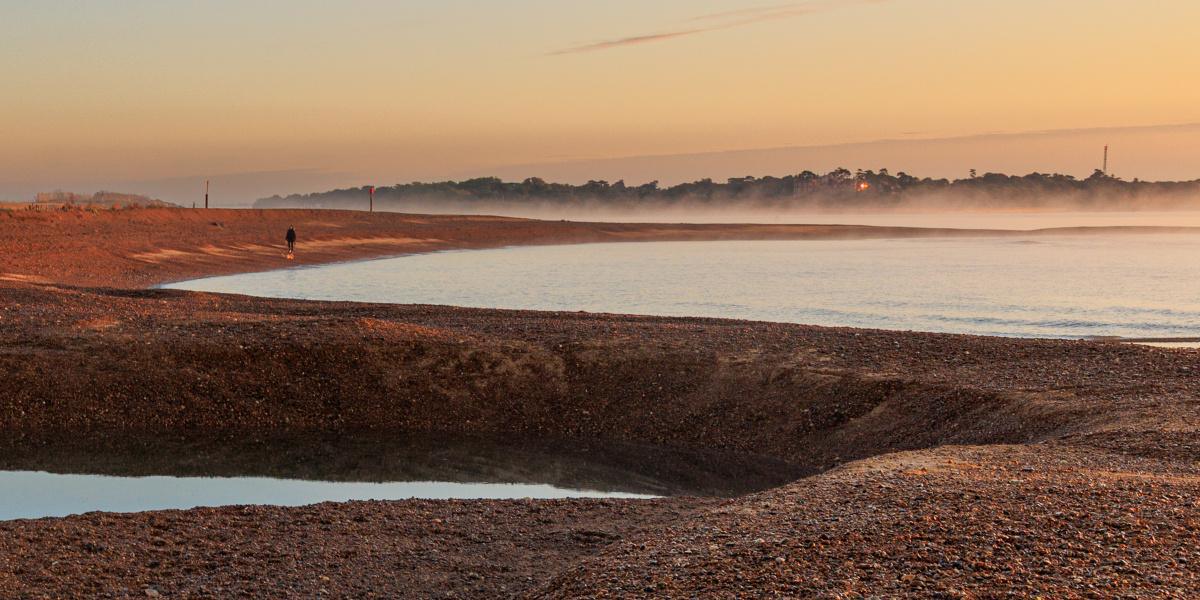 Local Photography Local Photography