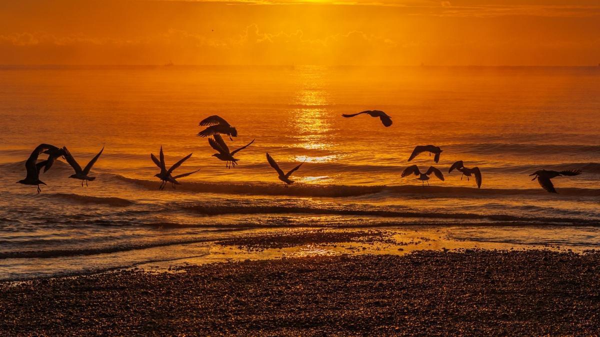 Local Photography Local Photography