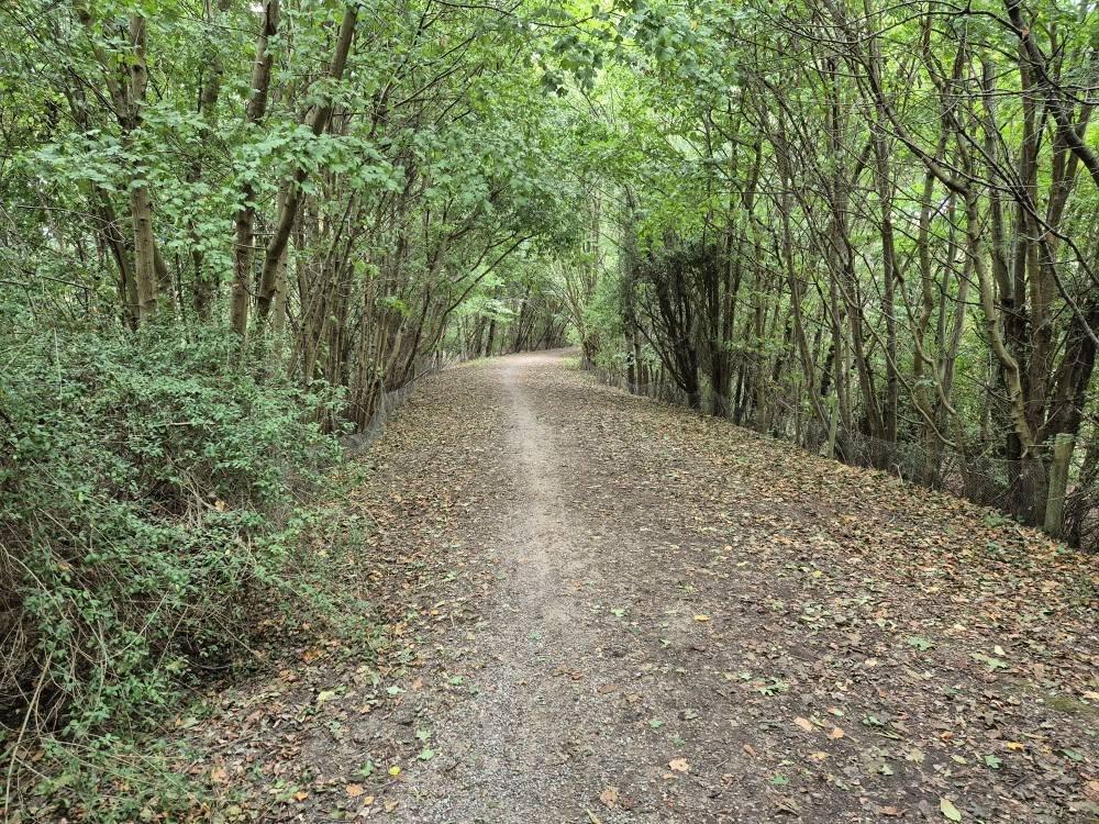 Local Photography Local Photography