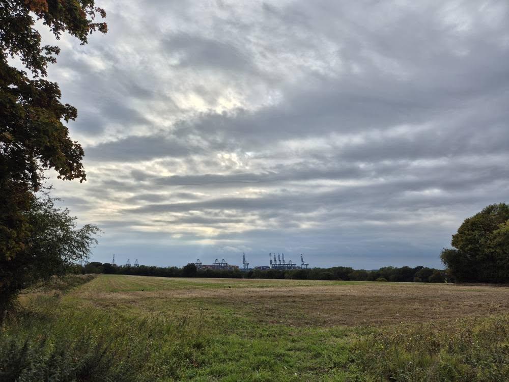 Local Photography Local Photography