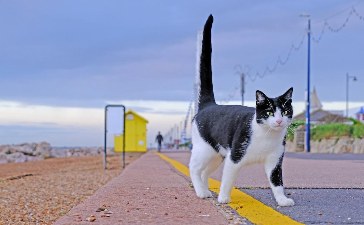 Local Photography Local Photography