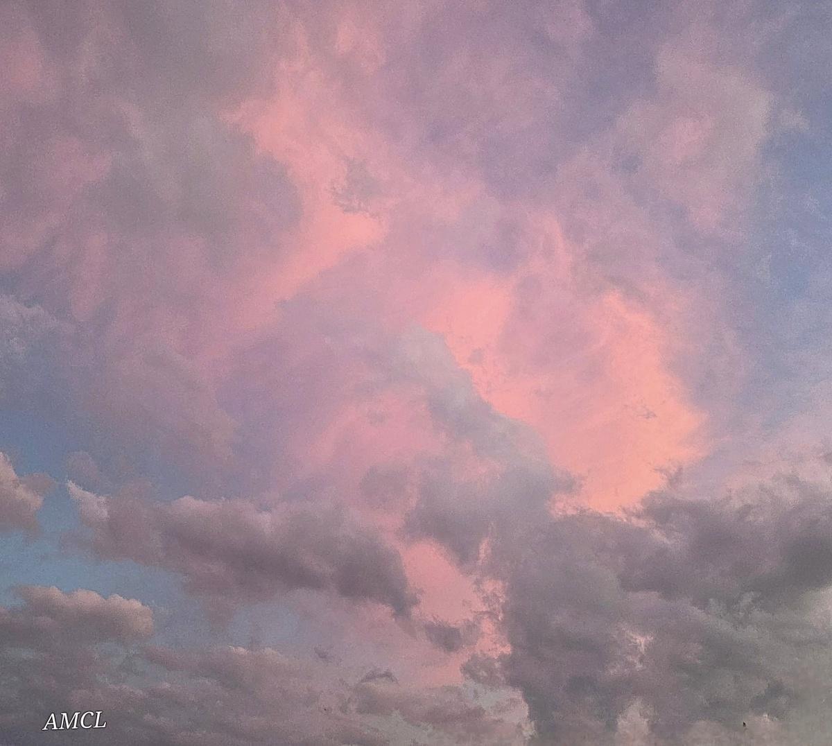 Local Photography Local Photography