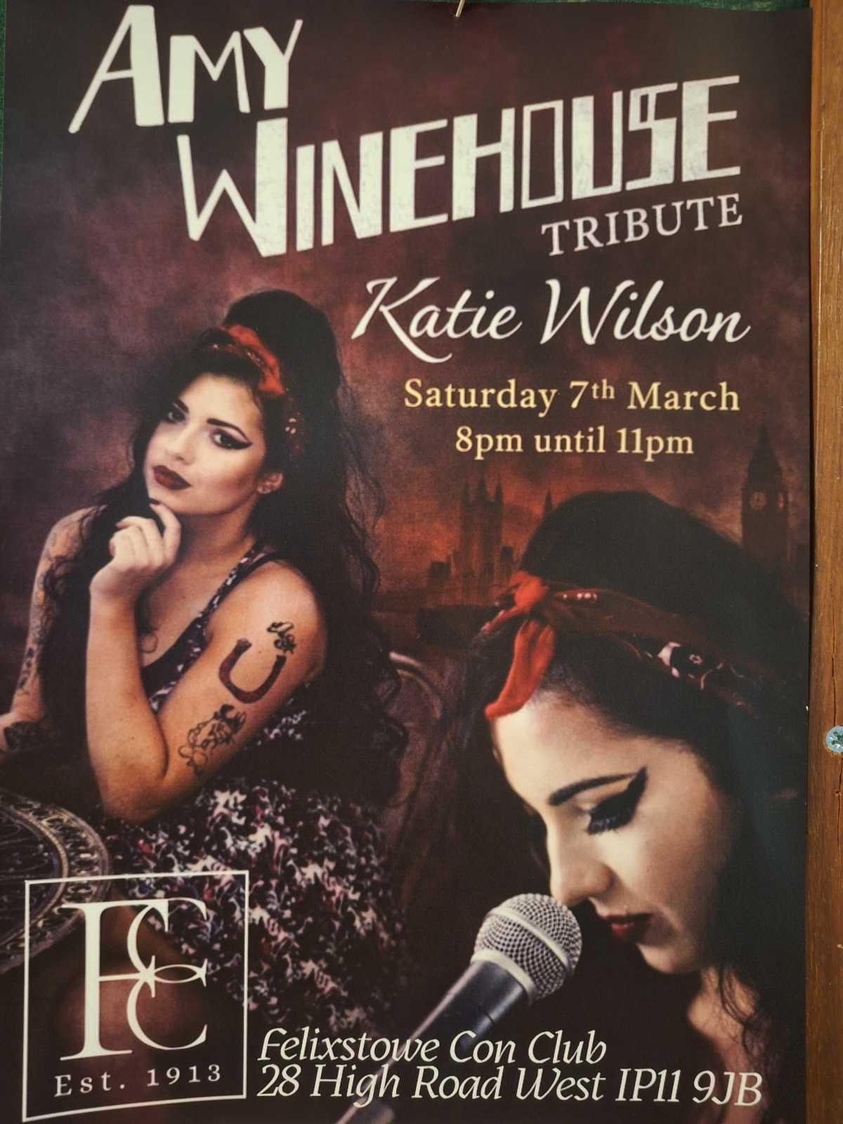 🎼 Amy Winehouse Tribute