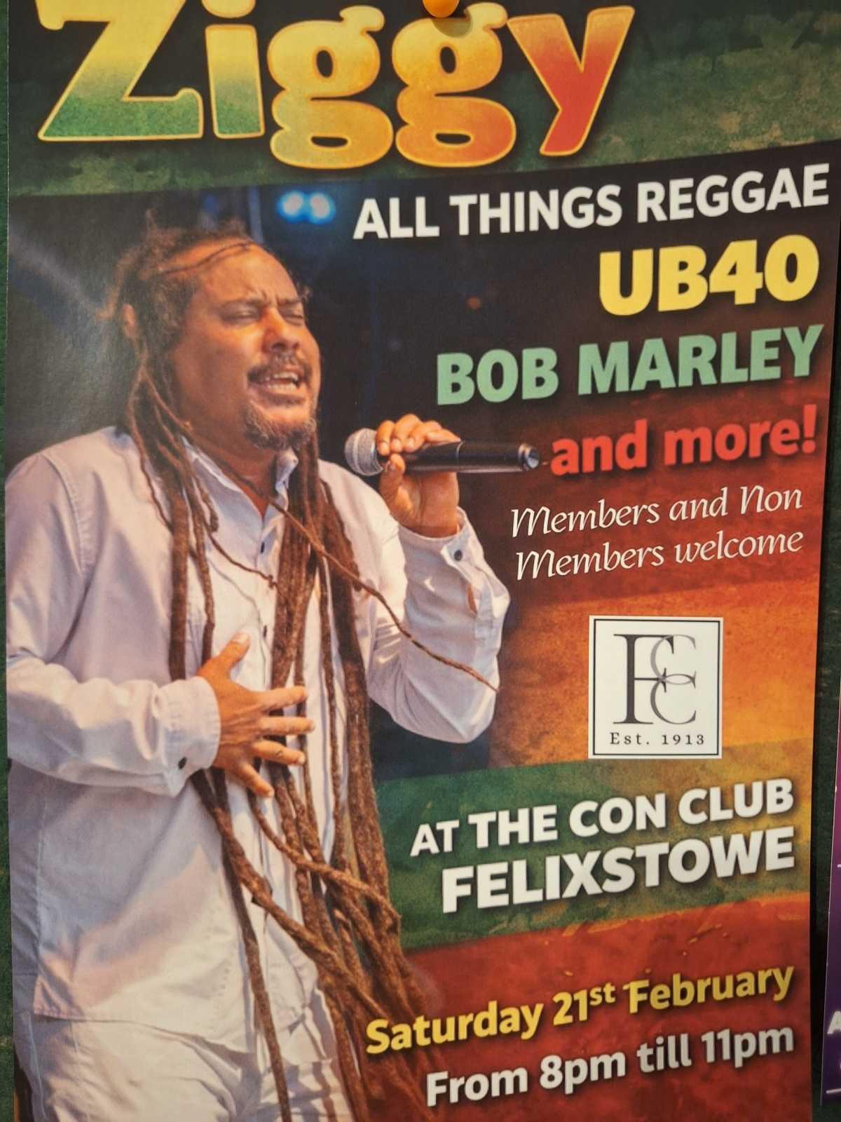 🪇 Ziggy Does Reggae