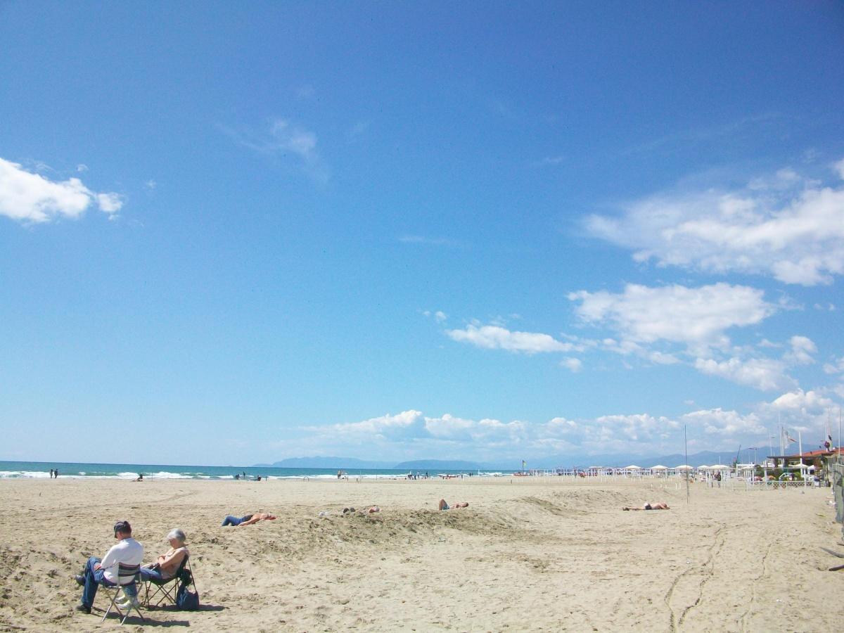 🏖️ Felixstowe Seaside Carnival