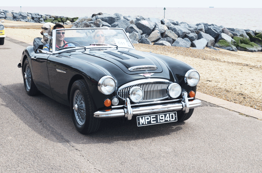 A View of Felixstowe from the Bath by Dick Moffat