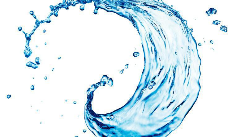 Hur ofta behöver vattnet bytas?