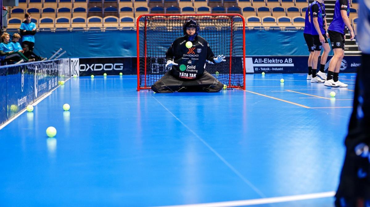 Sikta på målet Sikta på målet