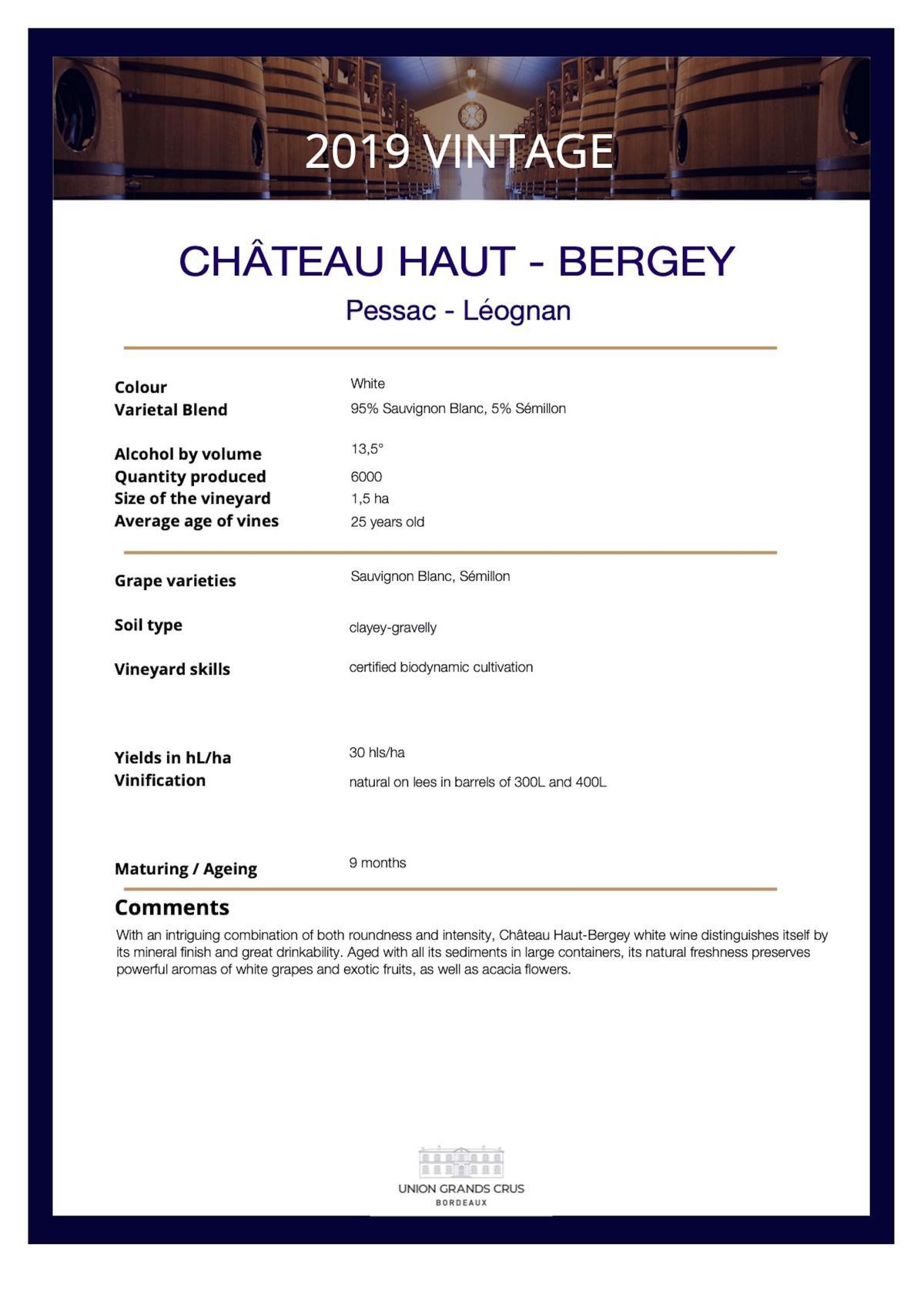 Château Haut - Bergey - White