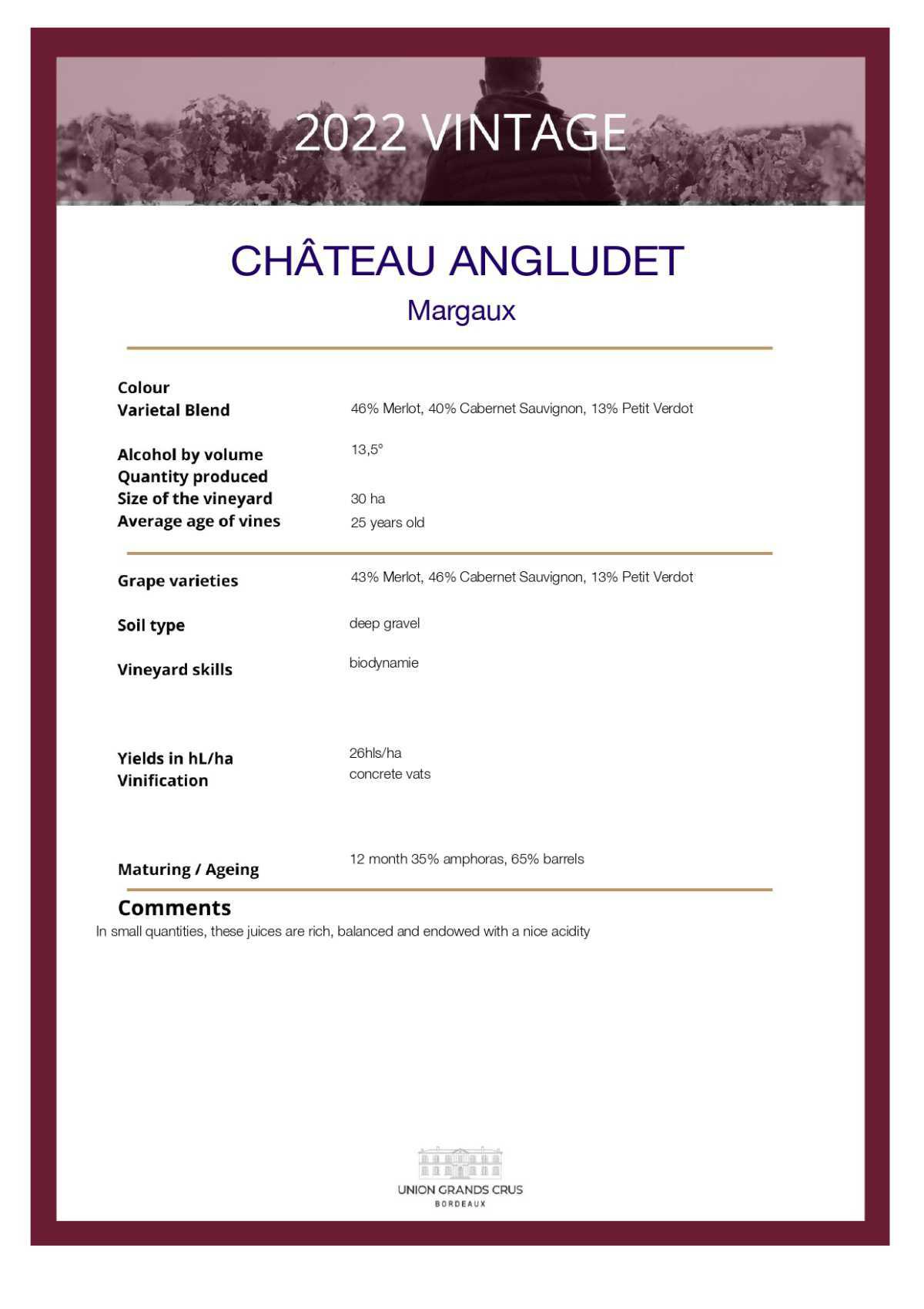  Château Angludet