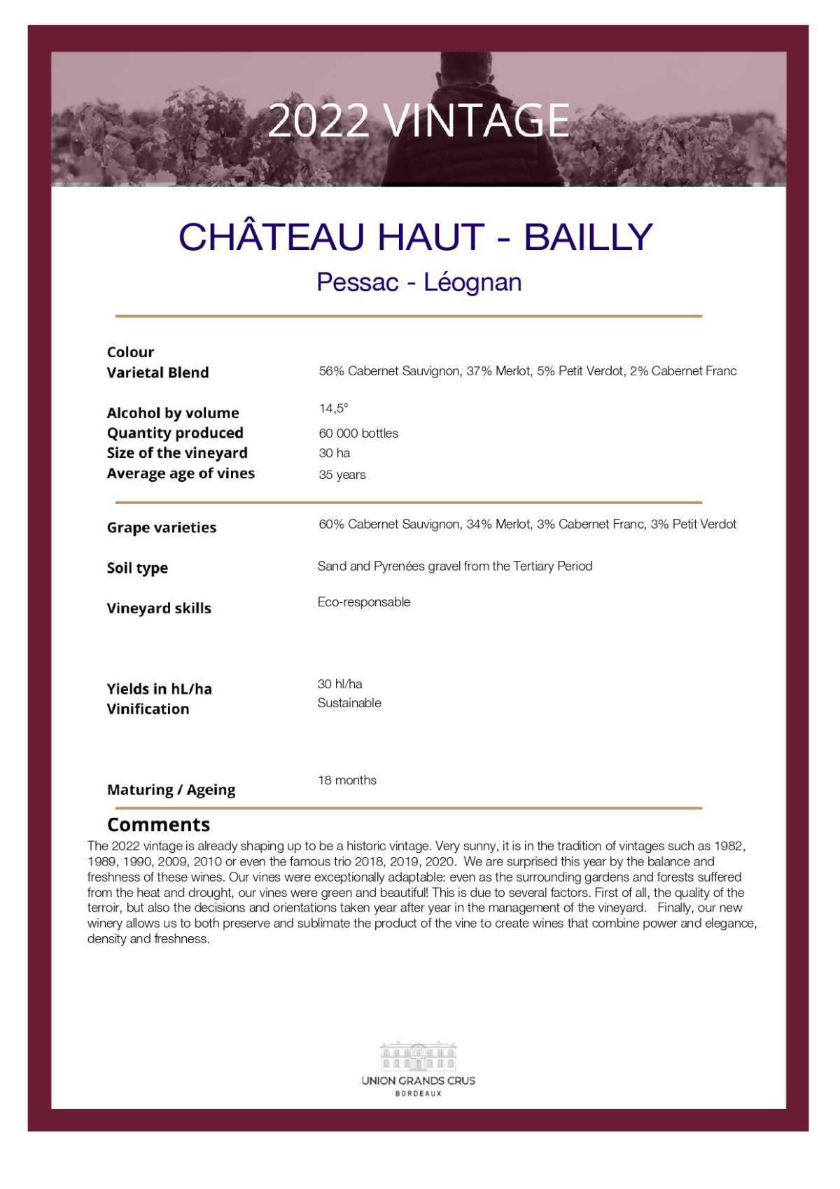 Château Haut - Bailly