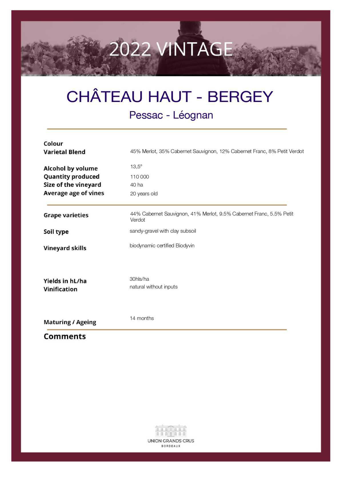 Château Haut - Bergey - Red