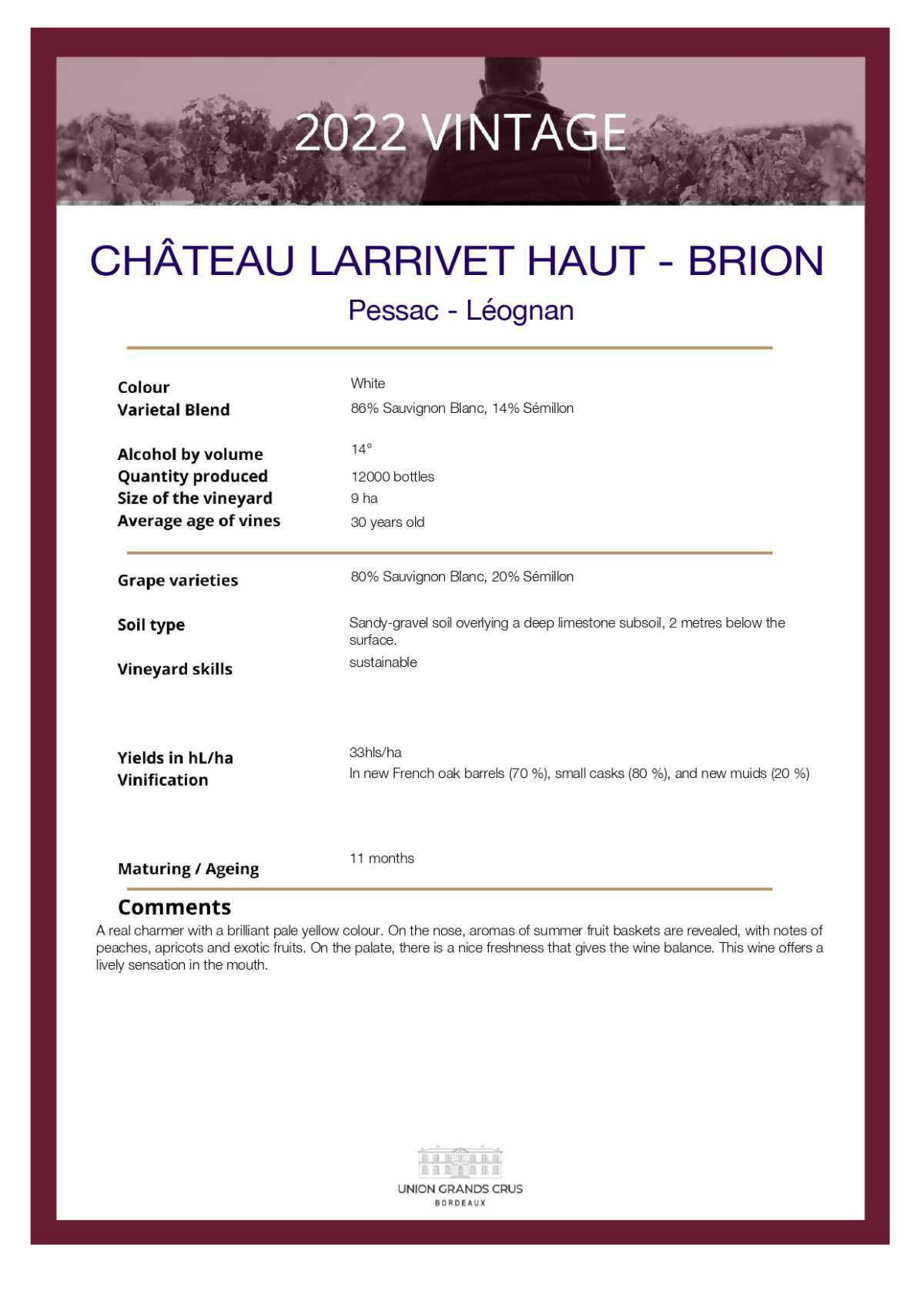Château Larrivet Haut - Brion - White