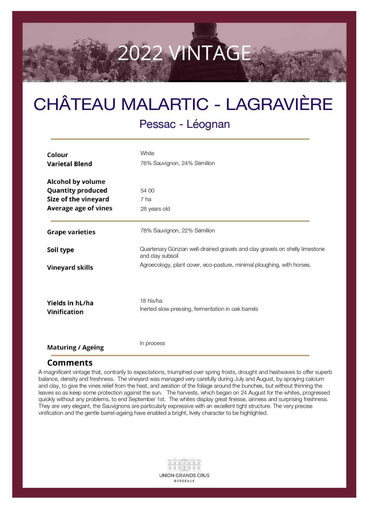 Château Malartic - Lagravière - White