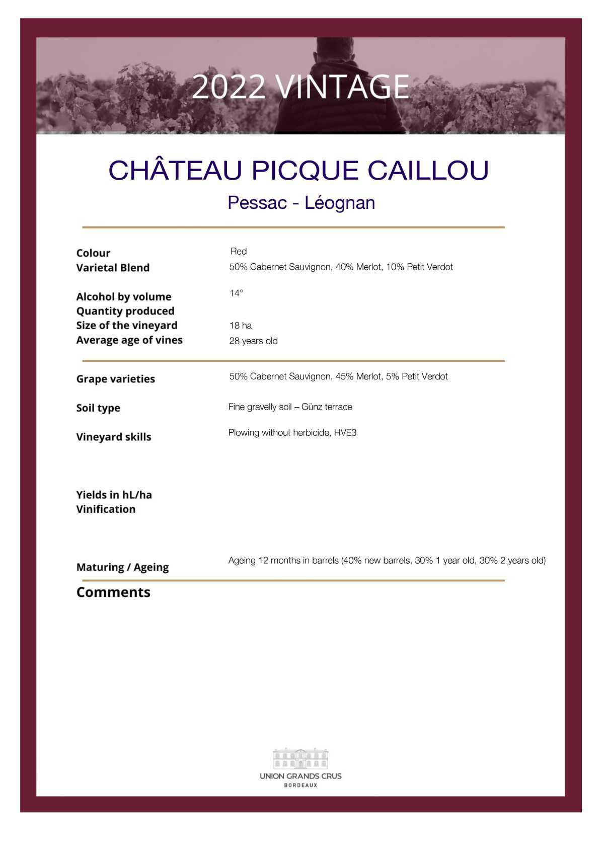  Château Picque Caillou - Red