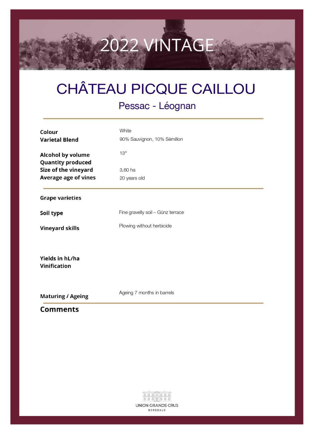  Château Picque Caillou - White