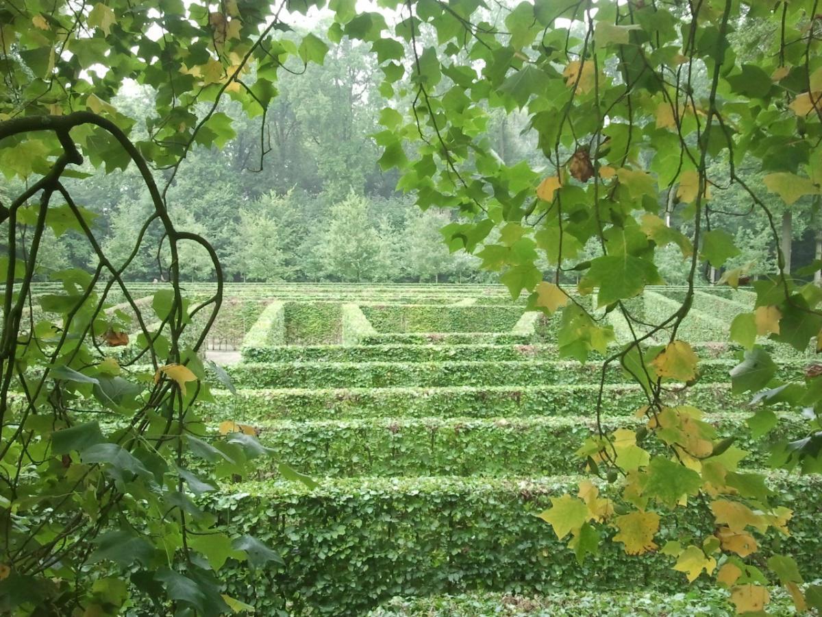 De Doolhof De Doolhof