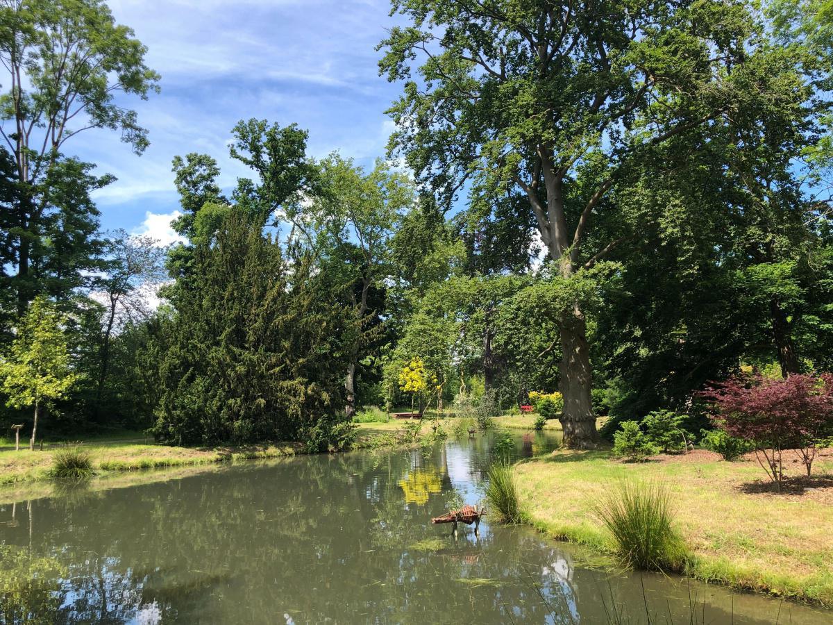 Kippentuin Kippentuin