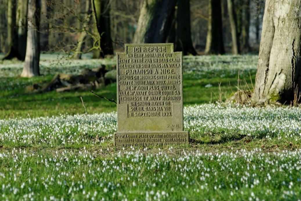 13. Het Kattepad 13. Het Kattepad